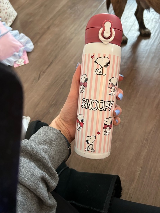 Other - NWT Snoopy Pink Striped Stainless Bottle